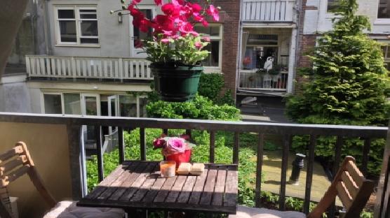 City Centre Apartment